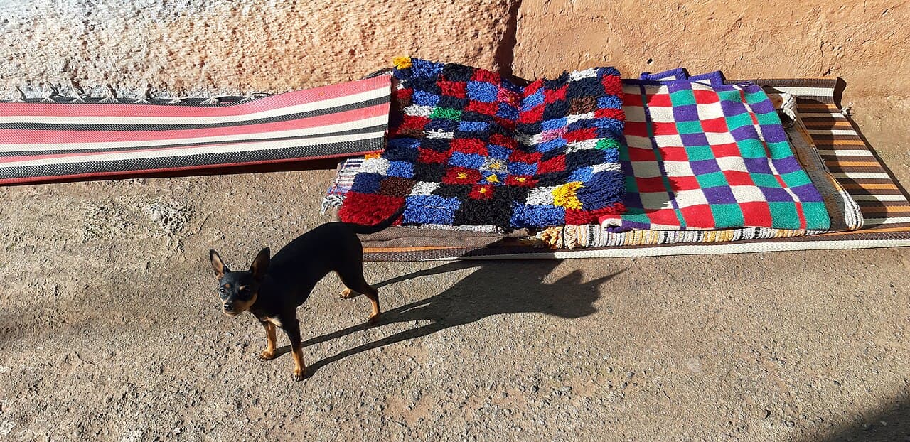 Ahandire Berber Rug